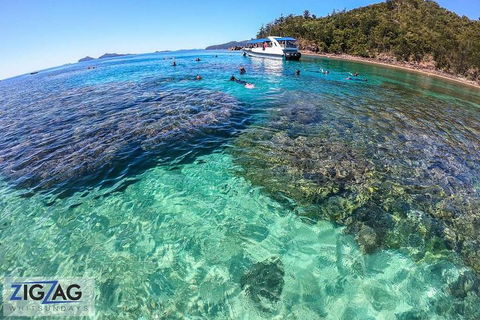 Whitehaven Beach Day Tour With Snorkel In Whitsundays Island - Accommodation Sunshine Coast 5