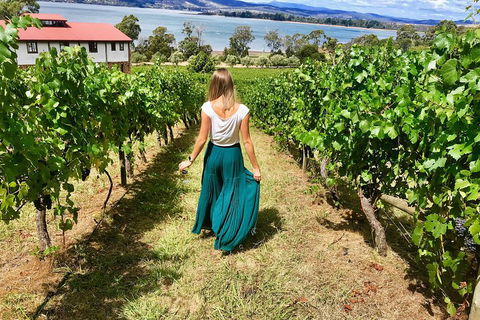 Tamar Valley Wine Tour With Lunch - Accommodation Sunshine Coast 2