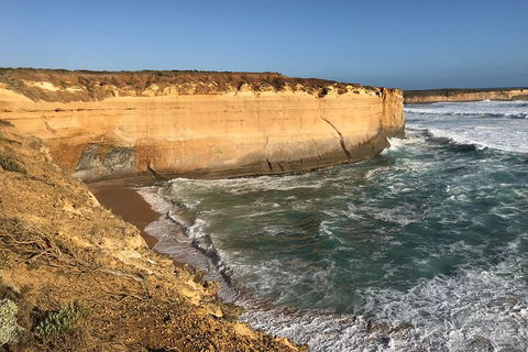 12 Apostles Tour From Warrnambool - Accommodation Sunshine Coast 1