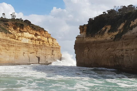 12 Apostles Tour From Warrnambool - Accommodation Sunshine Coast 2
