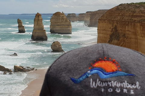 12 Apostles Tour From Warrnambool - Accommodation Sunshine Coast 4