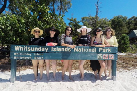 Fly & Cruise - Seaplane Package - Accommodation Sunshine Coast 0