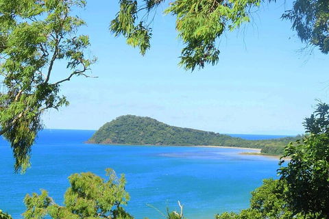 Full Day Tour In The Daintree - Accommodation Sunshine Coast 1