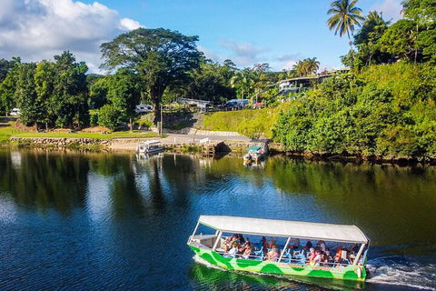 Full Day Tour In The Daintree - Accommodation Sunshine Coast 2