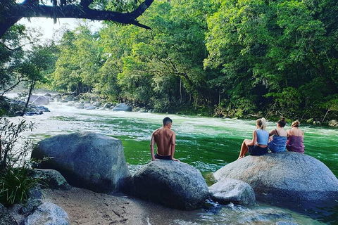 Full Day Tour In The Daintree - Accommodation Sunshine Coast 3