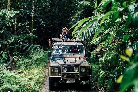 Full Day Tour In The Daintree - Accommodation Sunshine Coast 4