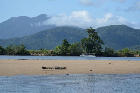 Afternoon Half-Day Daintree Rainforest And River Tour - Accommodation Sunshine Coast 2