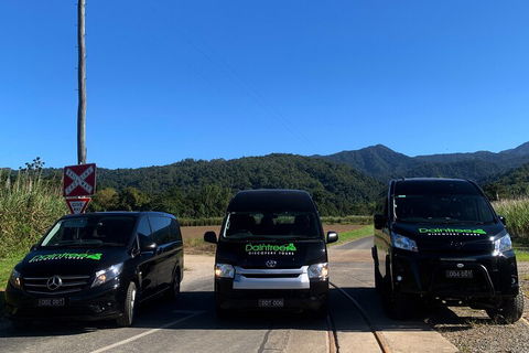 Afternoon Half-Day Daintree Rainforest And River Tour - Accommodation Sunshine Coast 4