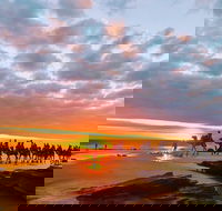 1 Hour Broome Sunset Camel Tour - Accommodation Sunshine Coast
