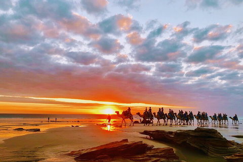1 Hour Broome Sunset Camel Tour - Accommodation Sunshine Coast 0