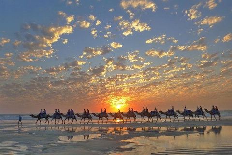 1 Hour Broome Sunset Camel Tour - Accommodation Sunshine Coast 1