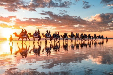 1 Hour Broome Sunset Camel Tour - Accommodation Sunshine Coast 2