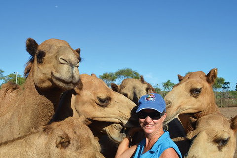 1 Hour Broome Sunset Camel Tour - Accommodation Sunshine Coast 3