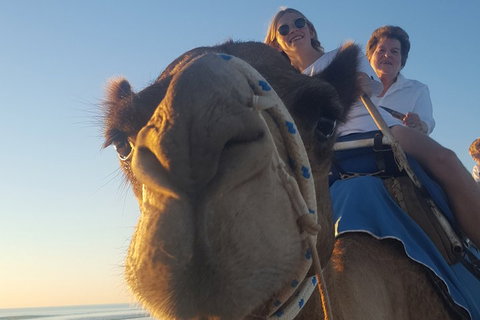 1 Hour Broome Sunset Camel Tour - Accommodation Sunshine Coast 4