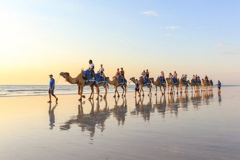 1 Hour Broome Sunset Camel Tour - Accommodation Sunshine Coast 5