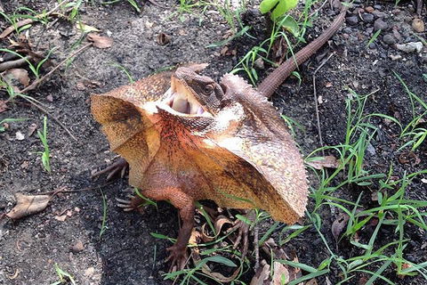 Litchfield National Park And Jumping Crocodile Cruise - Accommodation Sunshine Coast 1