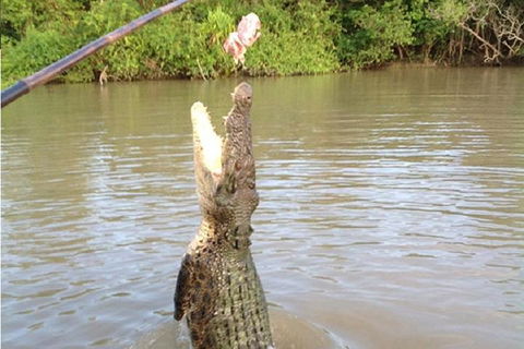 Litchfield National Park And Jumping Crocodile Cruise - Accommodation Sunshine Coast 2