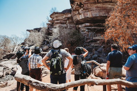 Kakadu Full-Day Tour From Darwin With Lunch - Accommodation Sunshine Coast 1