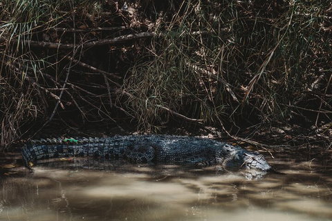 Kakadu Full-Day Tour From Darwin With Lunch - Accommodation Sunshine Coast 4