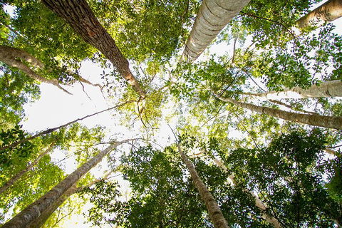 Fraser Island 4WD Tour From Noosa - Accommodation Sunshine Coast 0