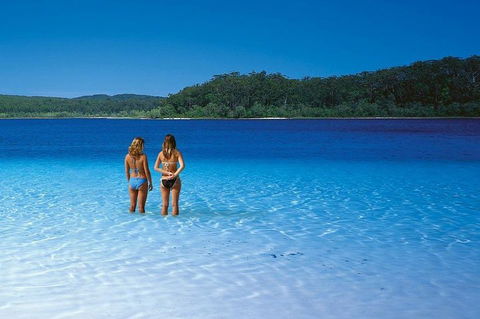 Fraser Island 4WD Tour From Noosa - Accommodation Sunshine Coast 2