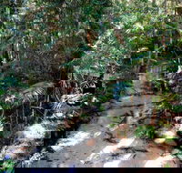 Fraser Island 4WD Tour from Rainbow Beach - Accommodation Sunshine Coast