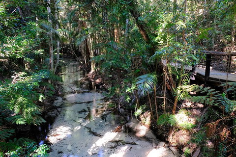 Fraser Island 4WD Tour From Rainbow Beach - Accommodation Sunshine Coast 0