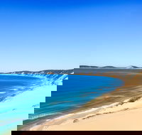 Kayak with Dolphins and 4WD Great Beach Drive Day Trip from Noosa - Accommodation Sunshine Coast