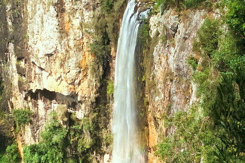 Natural Arch, Rainforest & Volcano Canyon - Private Half Day Tour - Accommodation Sunshine Coast 2