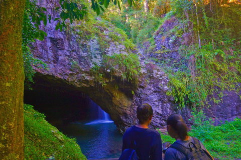 Natural Arch, Rainforest & Volcano Canyon - Private Half Day Tour - Accommodation Sunshine Coast 4
