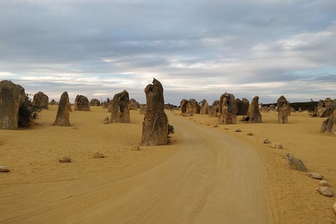 The Pinnacle Adventure Tour - Accommodation Sunshine Coast 1