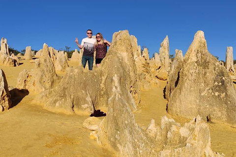 The Pinnacle Adventure Tour - Accommodation Sunshine Coast 4