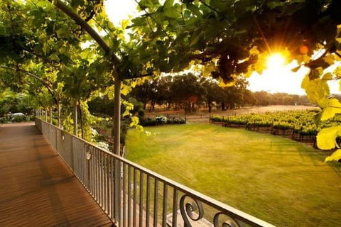 Busselton Jetty + Train Ride + Winery + Scenic Drive Full Day Tour - Accommodation Sunshine Coast 1