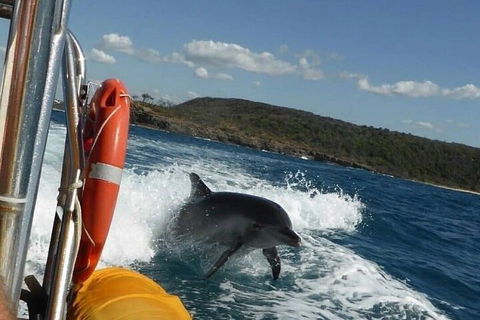 Noosa Oceanrider - Adventure Tour - Accommodation Sunshine Coast 1