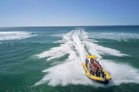 Noosa Oceanrider - Adventure Tour - Accommodation Sunshine Coast 2