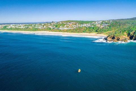 Noosa Oceanrider - Adventure Tour - Accommodation Sunshine Coast 3