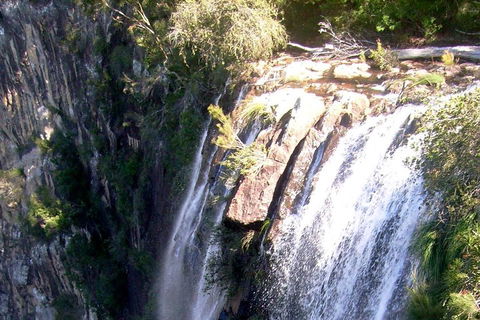 Byron Bay Combo: Hinterland Tour Including Minyon Falls And Kayaking With Dolphins - Accommodation Sunshine Coast 3