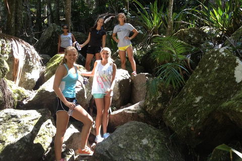 Byron Bay Combo: Hinterland Tour Including Minyon Falls And Kayaking With Dolphins - Accommodation Sunshine Coast 4