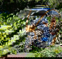 Adelaide 90-Minute Pedicab Tour Scenic Green  River Experience - Accommodation Sunshine Coast