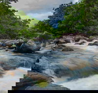 Cape Tribulation Day Tour - Accommodation Sunshine Coast
