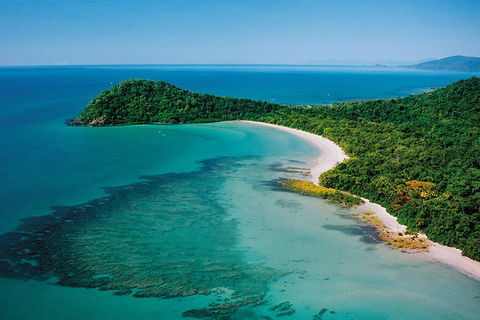 Daintree Rainforest, Cape Tribulation, Mossman Gorge Small-Group Day Tour - Accommodation Sunshine Coast 4