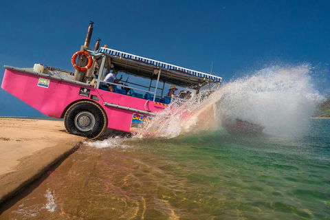 Town Of 1770 Afternoon Cruise - Accommodation Sunshine Coast 2