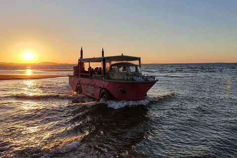 Town Of 1770 Afternoon Cruise - Accommodation Sunshine Coast 3