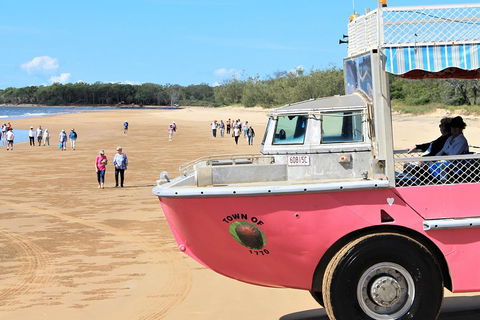 1770 Coastline Tour By LARC Amphibious Vehicle Including Picnic Lunch - Accommodation Sunshine Coast 0