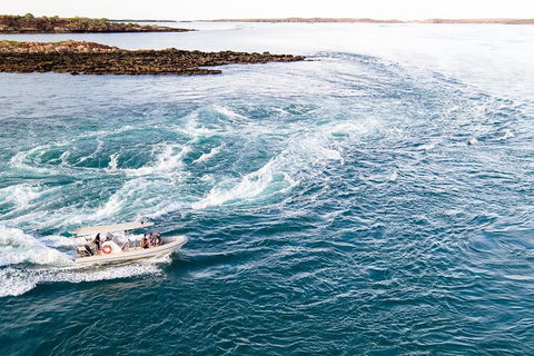 Giant Tides Tour - Cygnet Bay Pearl Farm - Accommodation Sunshine Coast 4