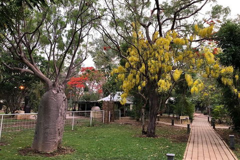 Wet Season Mitchell Falls Tour - Mitchell Falls, Horizontal Falls & Cygnet Bay - Accommodation Sunshine Coast 1