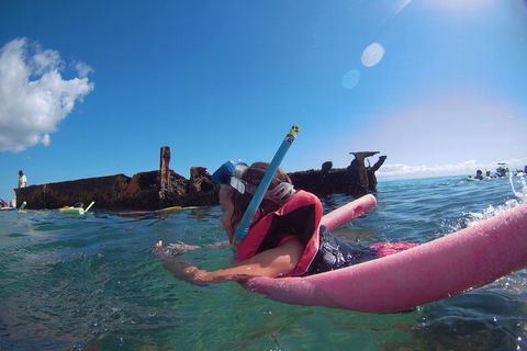 All Inclusive Dolphin And Tangalooma Wrecks Cruise - Accommodation Sunshine Coast 2