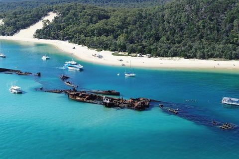 All Inclusive Dolphin And Tangalooma Wrecks Cruise - Accommodation Sunshine Coast 4
