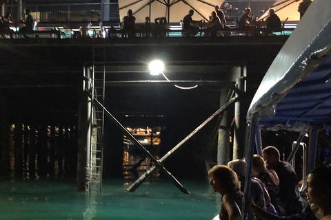 Darwin Sunset Cruise Including Fish 'n' Chips - Accommodation Sunshine Coast 0