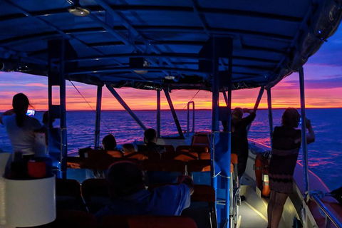 Darwin Sunset Cruise Including Fish 'n' Chips - Accommodation Sunshine Coast 1